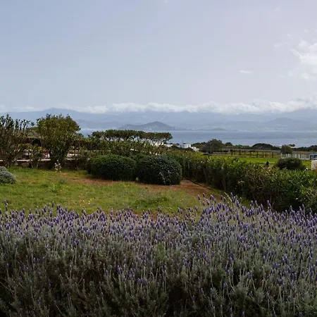 House Kohyli 5d Paros Holiday home Isterni (Paros)