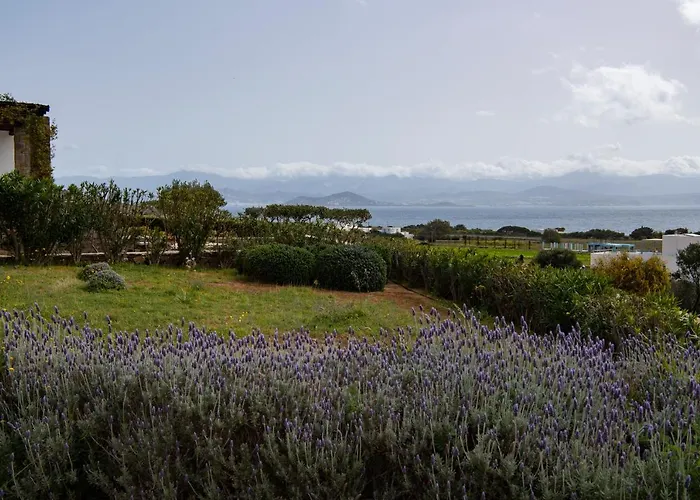 House Kohyli 5d Paros Ferienhaus Isterni (Paros)